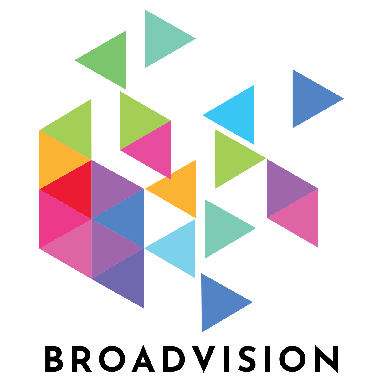 BroadVision logo